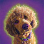 Poodle custom Portrait