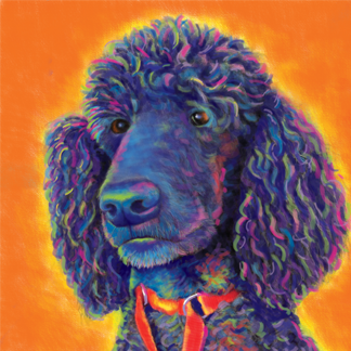 Poodle Custom Pet Portrait