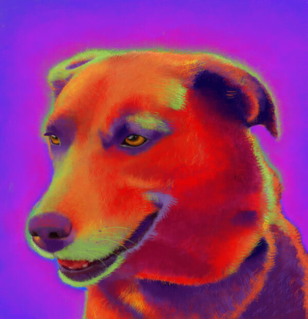 Brown Labrador Custom Pet Portrait