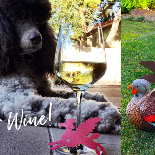Wine Suggestion photo with Poodle